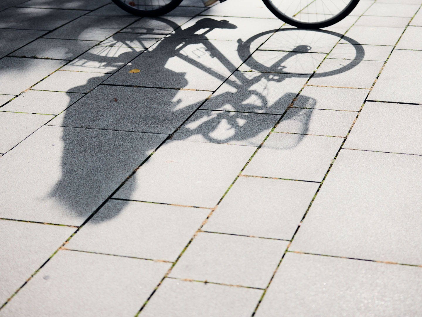 Schatten von Fahrrad