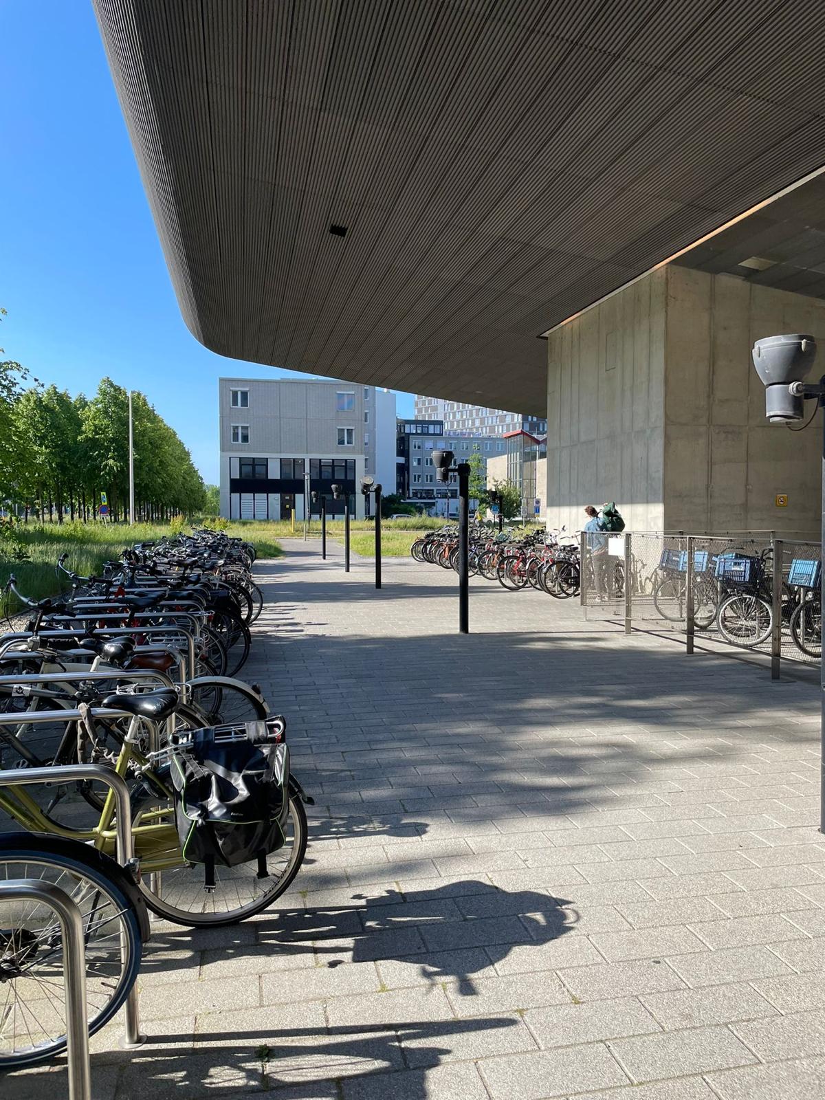 Teilweise überdachte Fahrradständer auf dem Campus