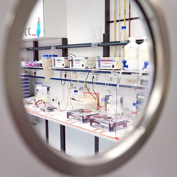 Blick auf ein Labor durch Fenster in der Tr